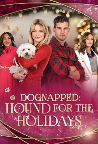 Dognapped: Hound for the Holidays