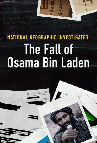 National Geographic Investigates: The Fall of Osama Bin Laden