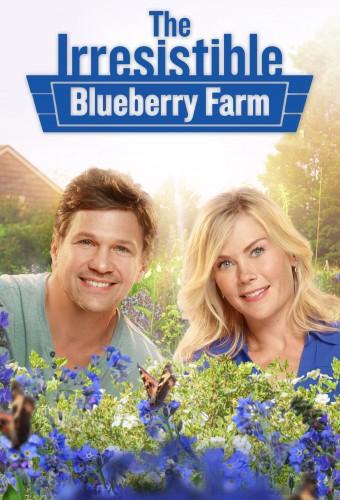 The Irresistible Blueberry Farm