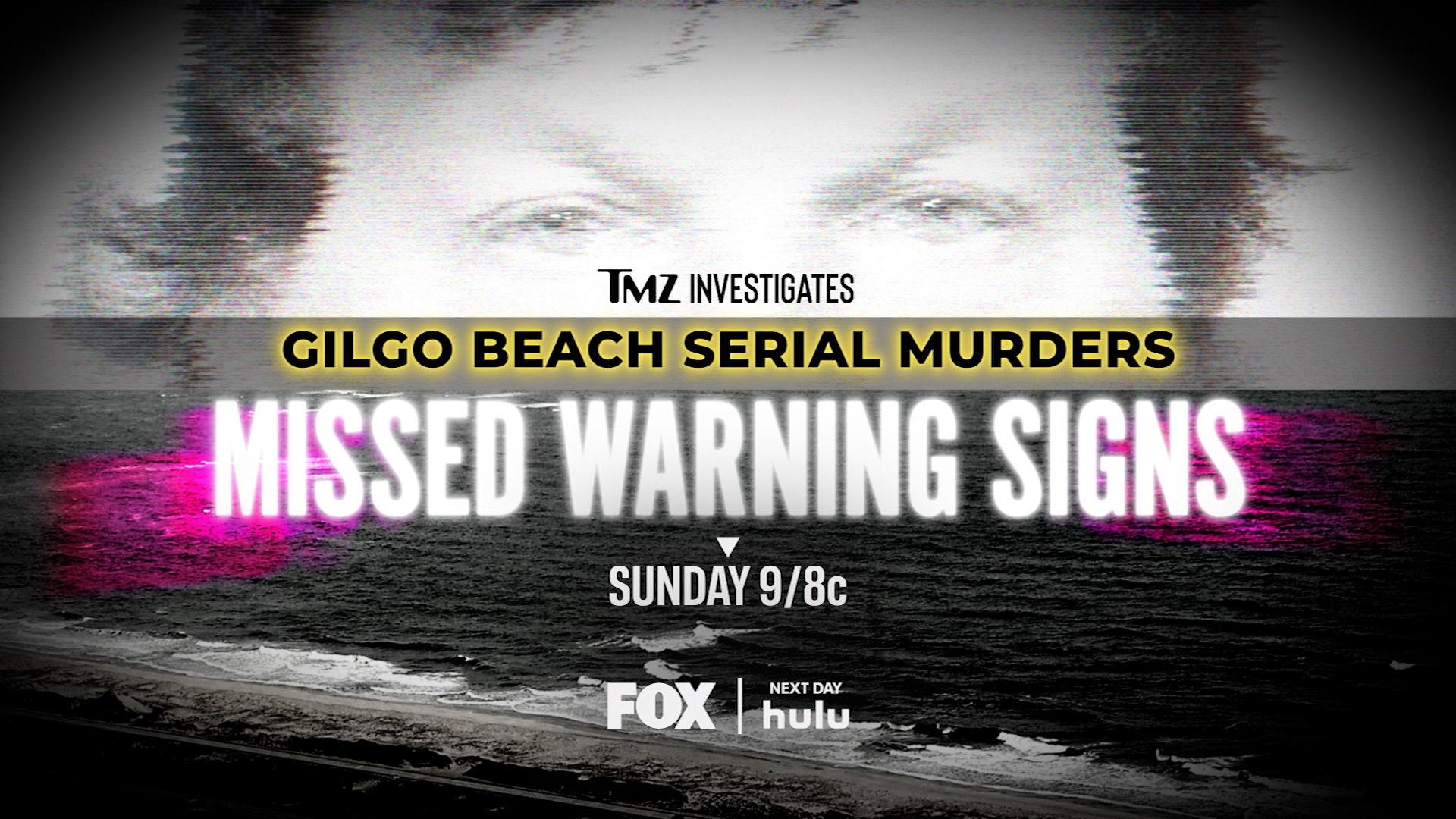 TMZ Investigates: Gilgo Beach Serial Murders: Missed Warning Signs