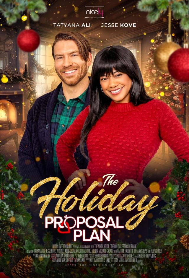 The Holiday Proposal Plan