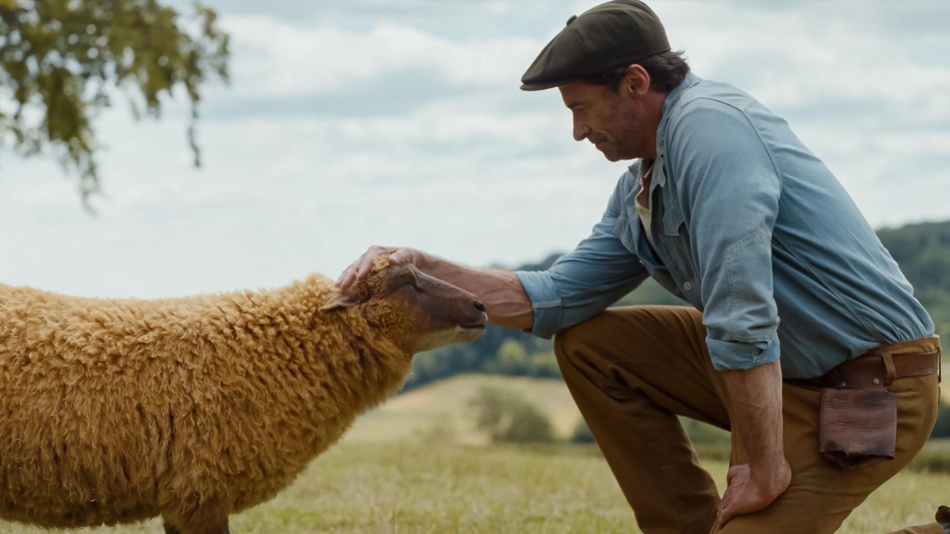 The Sheep Detectives