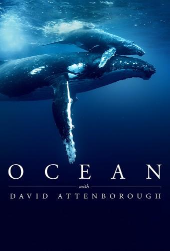 Ocean with David Attenborough