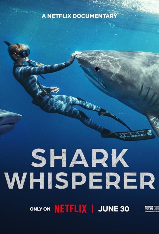 En paix avec les requins