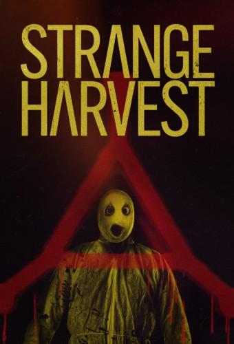 Strange Harvest