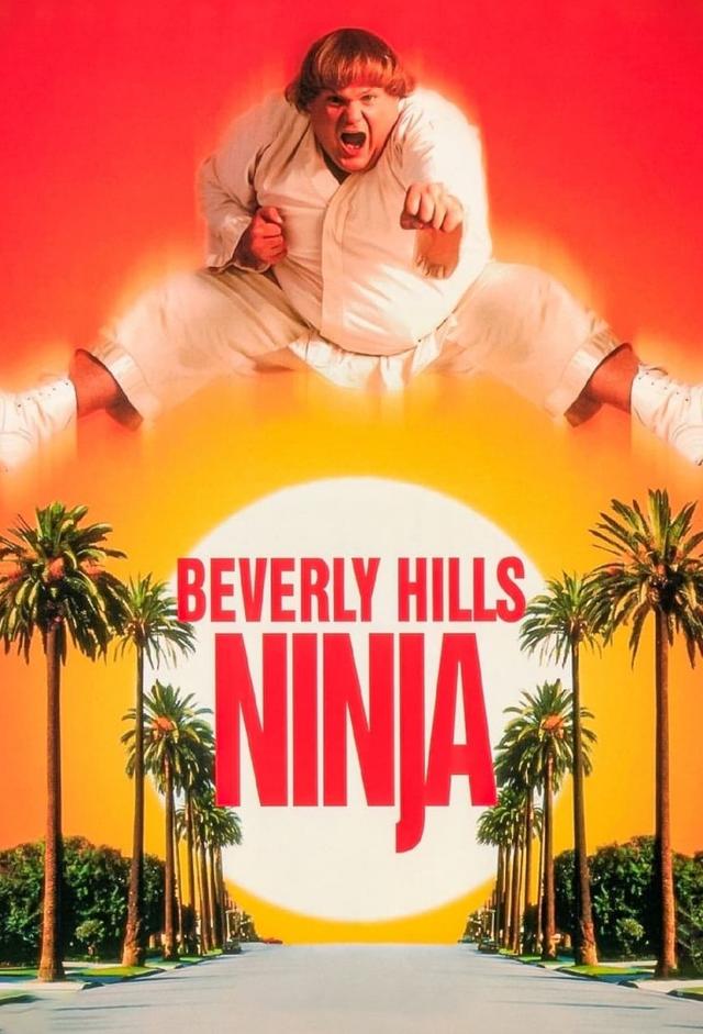 Beverly Hills Ninja