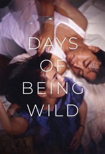 Days of Being Wild