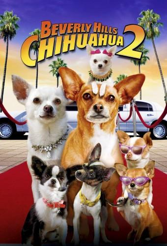 Beverly Hills Chihuahua 2