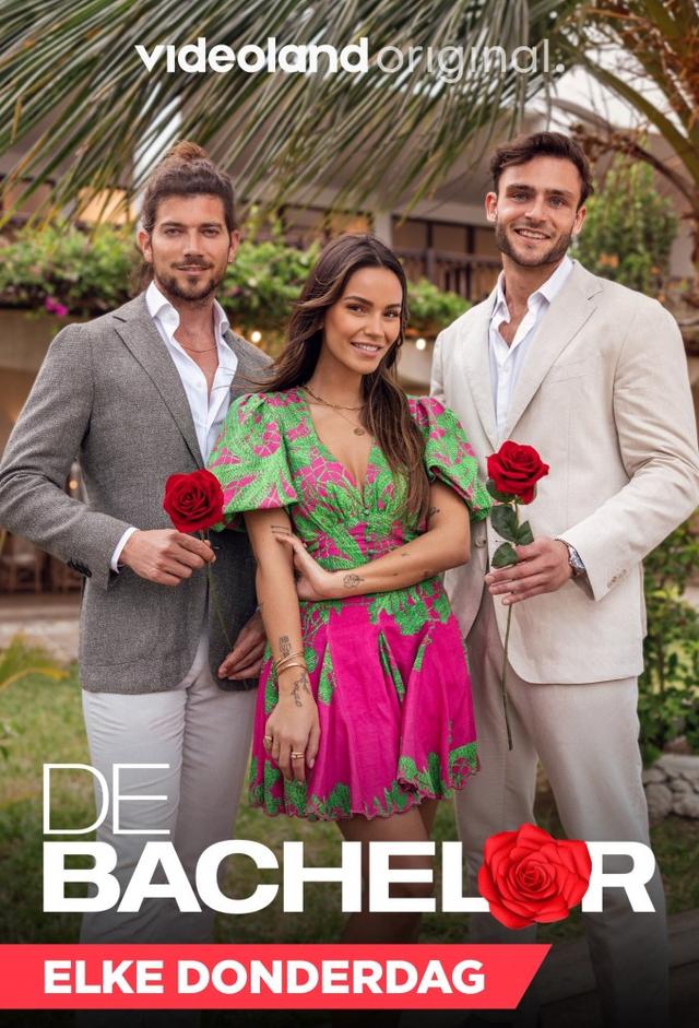 The Bachelor (NL)