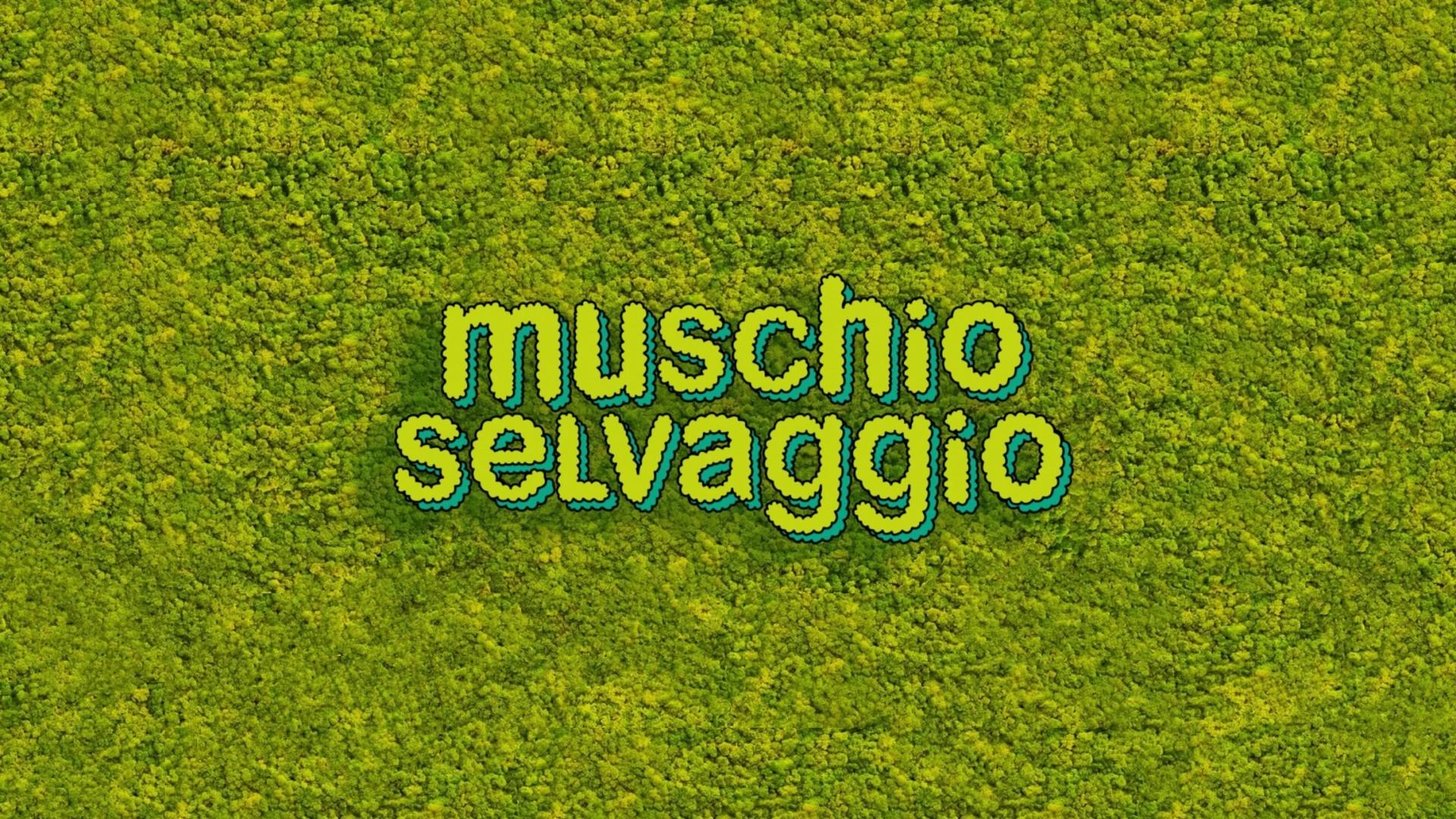 Muschio Selvaggio