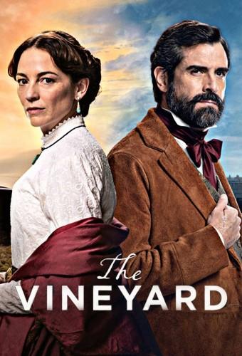 The Vineyard