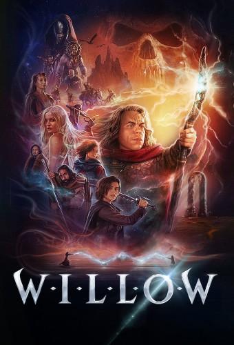 Willow