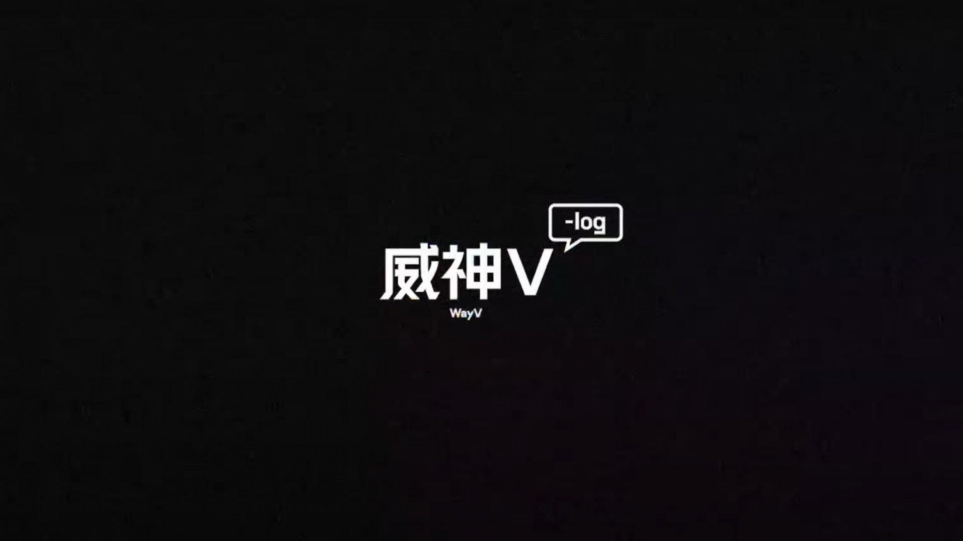 WayV-log