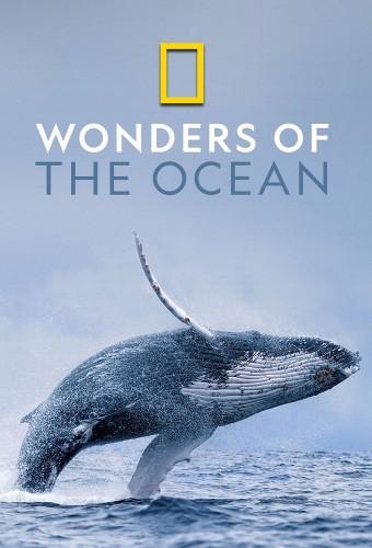 Wonders of the Ocean