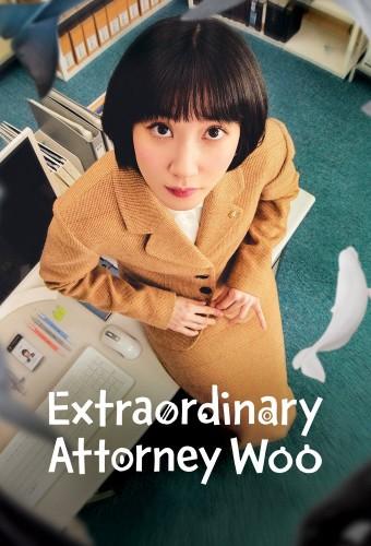 Extraordinary Attorney Woo