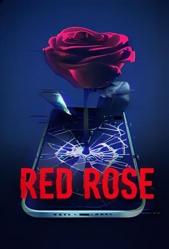 Red Rose