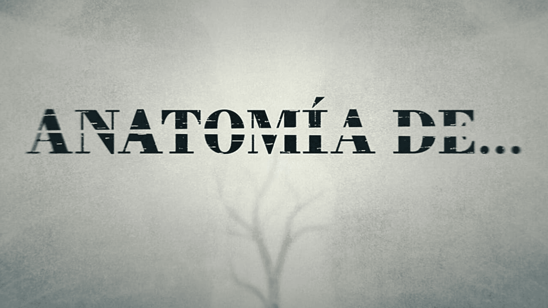Anatomía de...