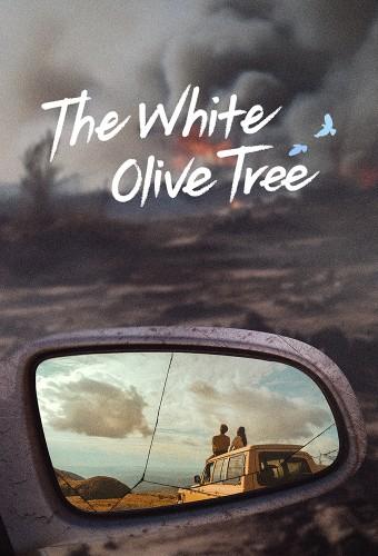 The White Olive Tree