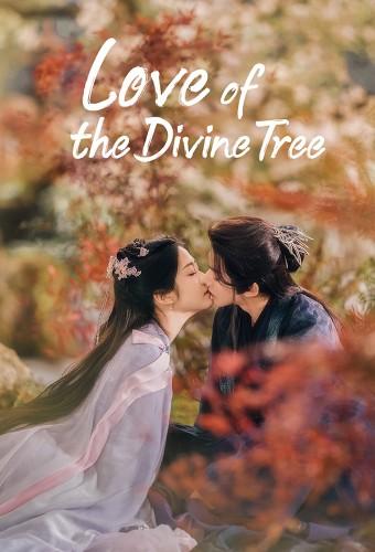 Love of the Divine Tree