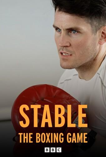 Stable: The Boxing Game