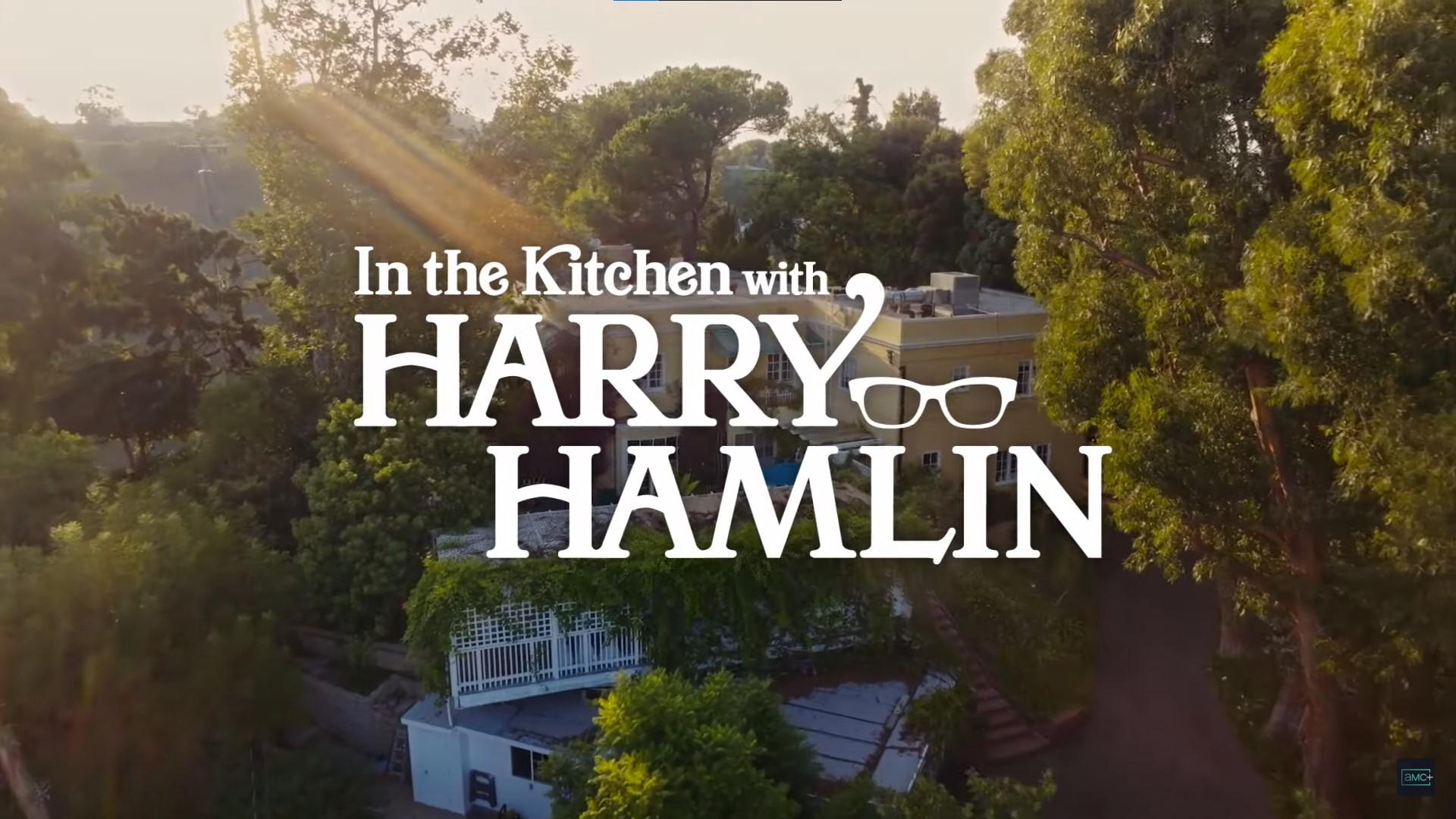 In the Kitchen with Harry Hamlin