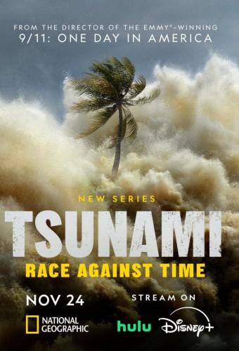 Tsunami: Race Against Time