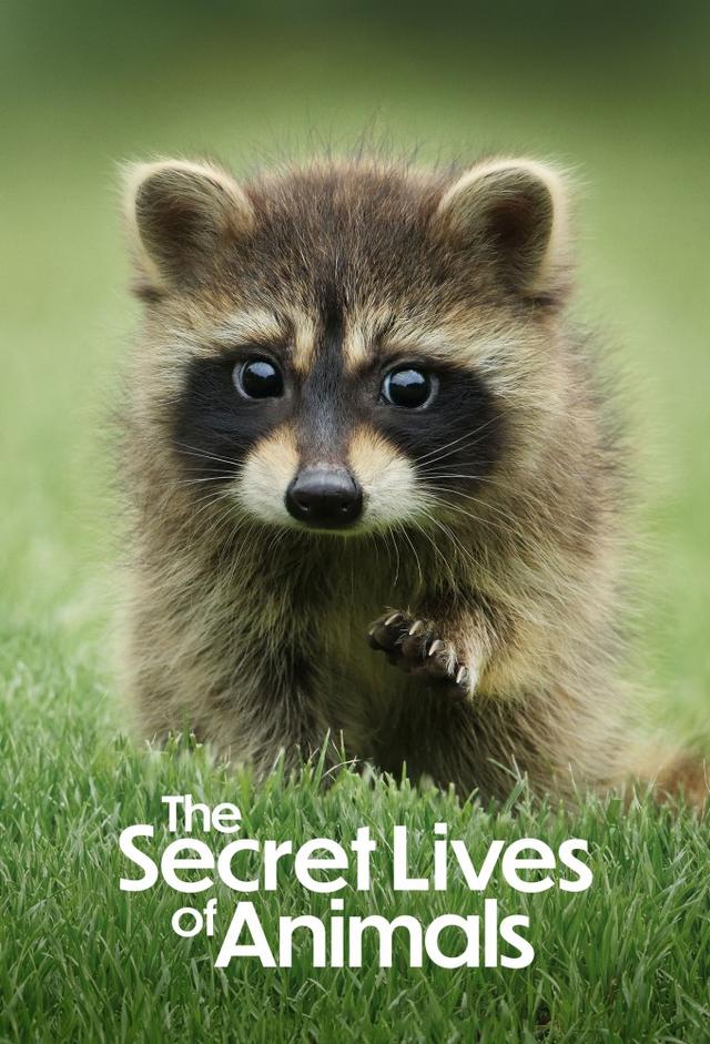 The Secret Lives of Animals