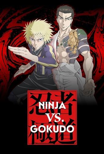 Ninja Vs. Gokudo