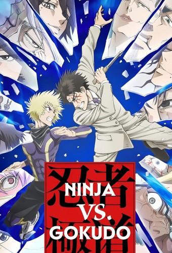 Ninja Vs. Gokudo