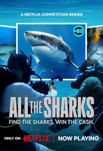 All the Sharks