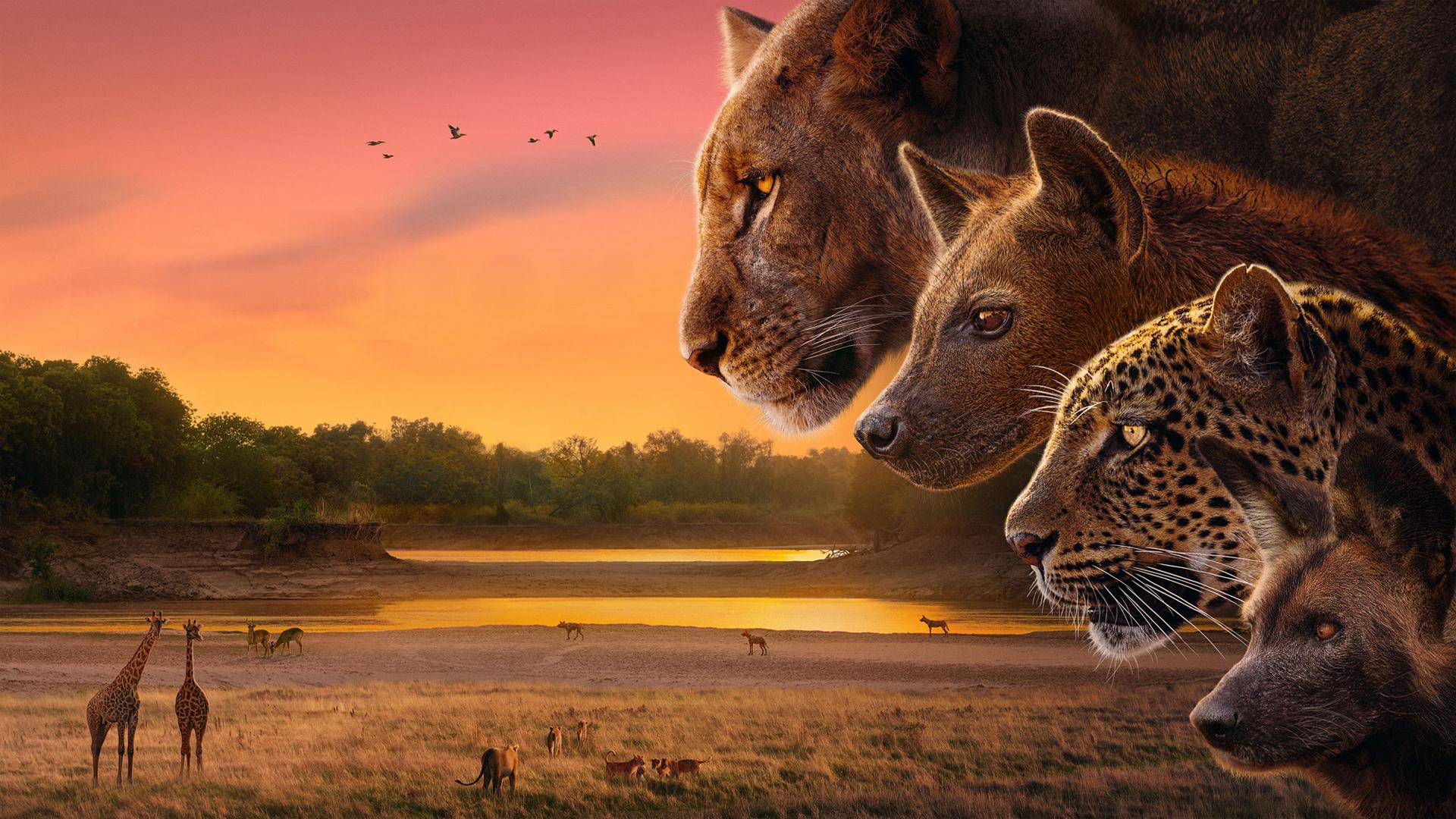 Kingdom (2025)