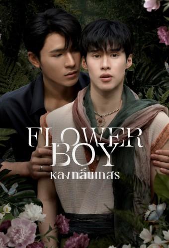 Flower Boy