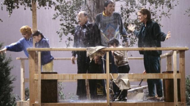 Lucy and Curtis Are Up a Tree