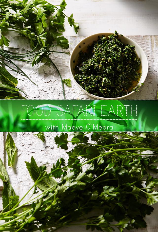 Food Safari Earth
