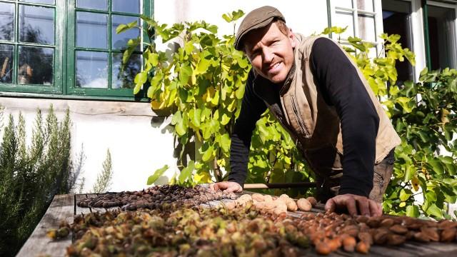 Tudser og masser af nødder