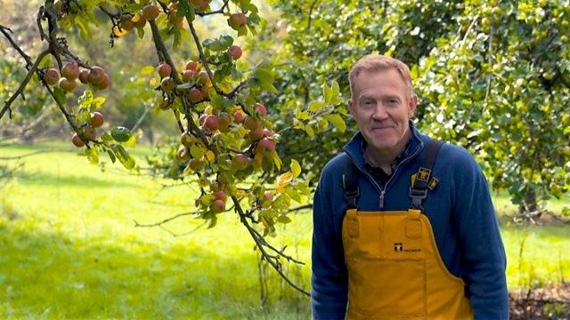 A Tale of Two Ciders