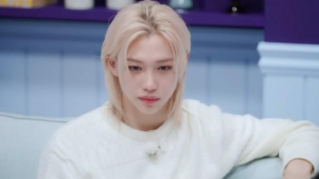 Felix x I.N