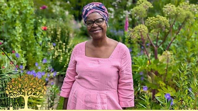 Compilations 2026 Episode 2