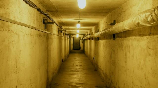 Japan's Poison Island