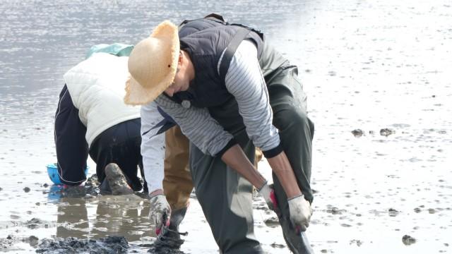 EP.150. Digging Clams and Making Bets (1)
