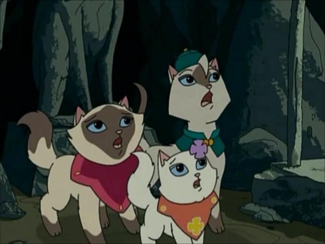 Royal Cats / Acrobat Cats