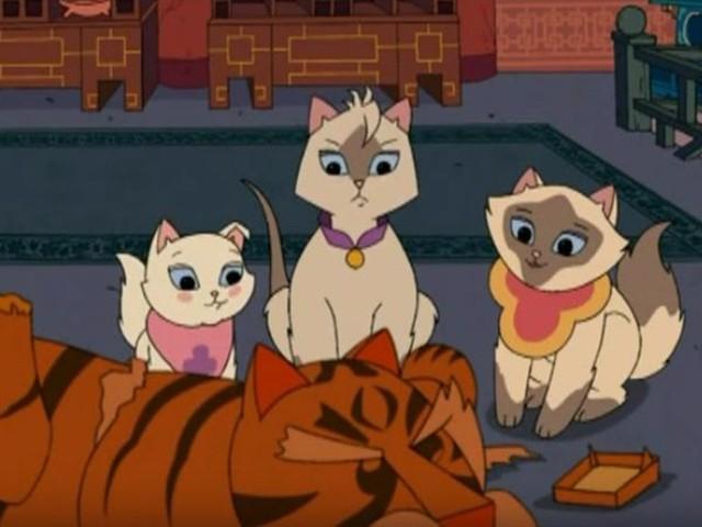 Panda-monium / Festival of Lanterns