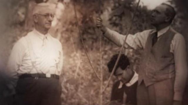 Le jardin secret du frère Marie-Victorin