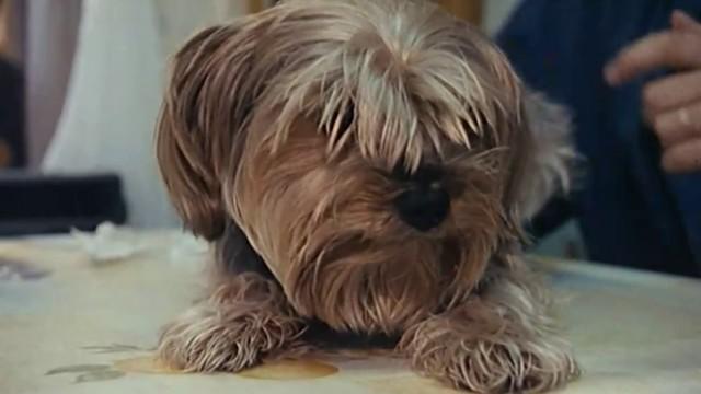 C'est grave Docteur ?