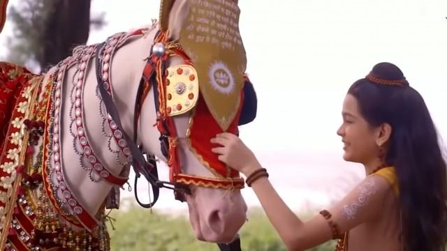 Luv to Catch Ashvamedh Ashva