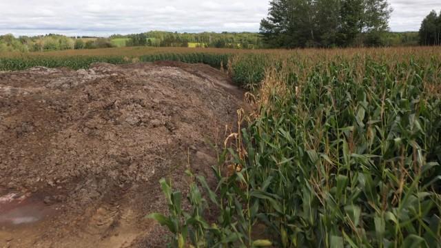 Une histoire qui ne sent pas bon...