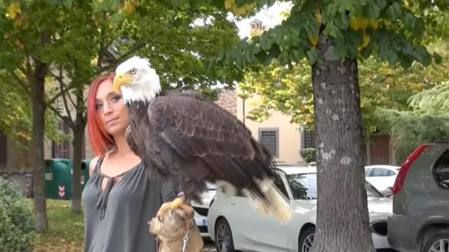 Uccellacci e uccellini (seconda parte)