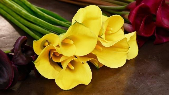 A Bloom for All Reasons