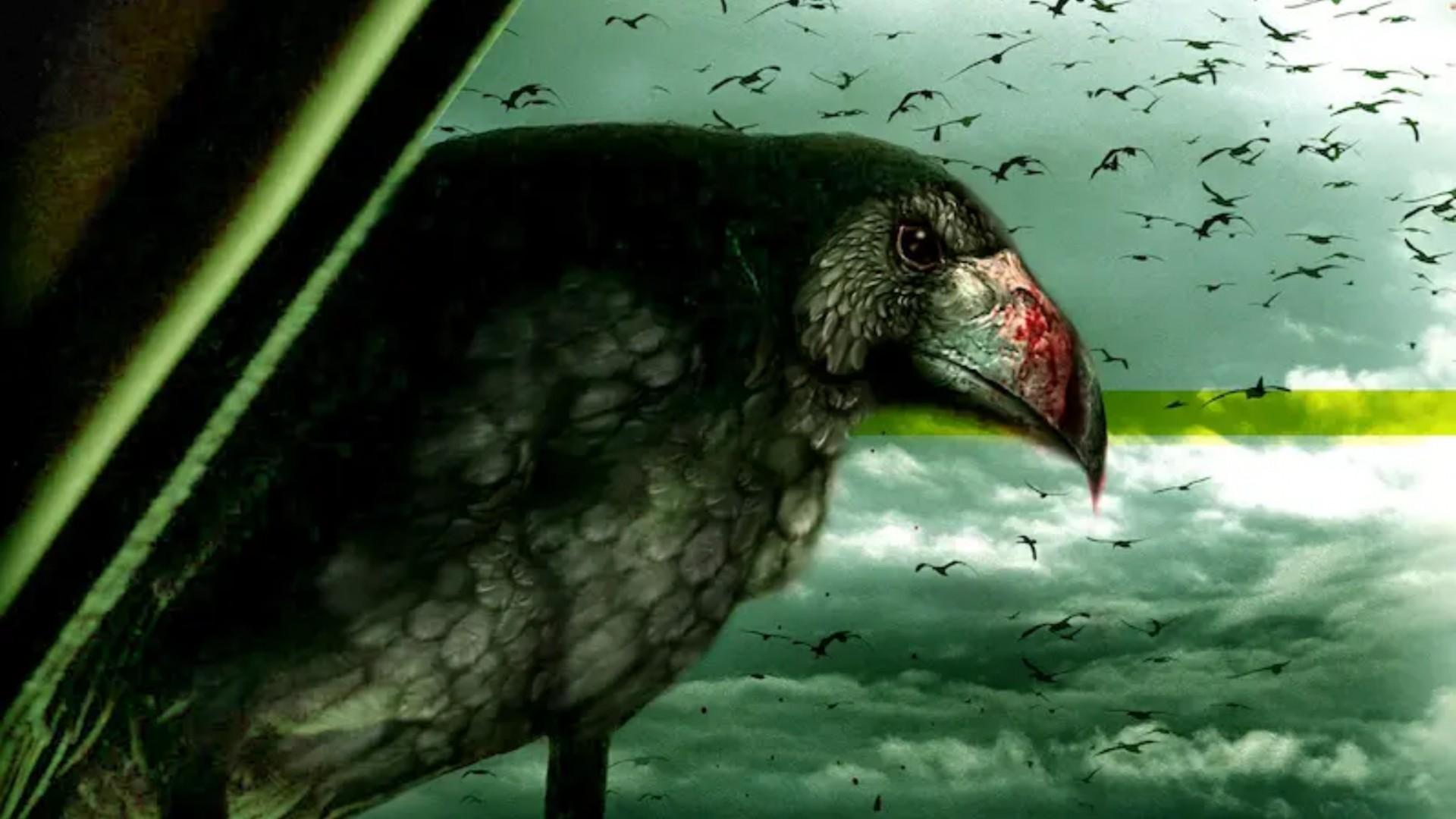 Kaw